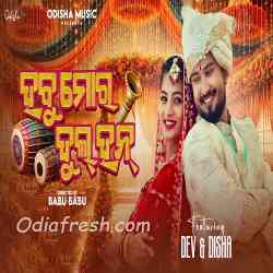 Habu Mora Dulhan